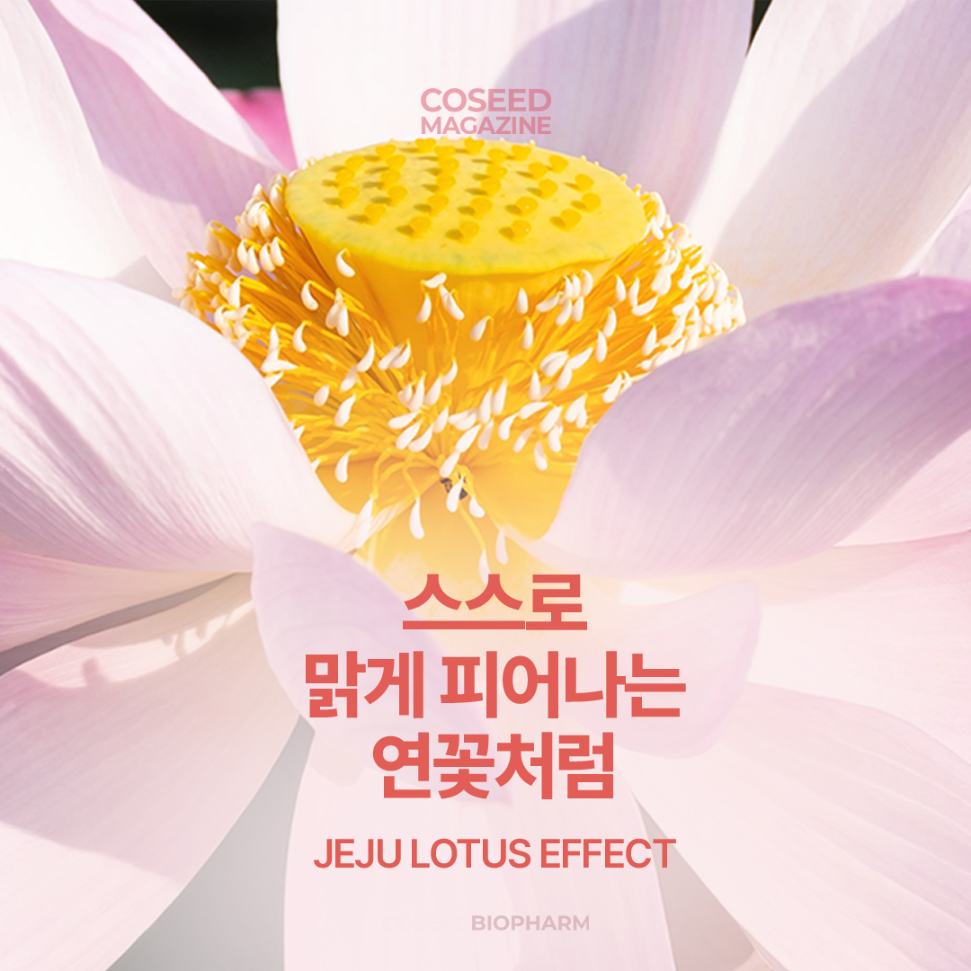 한).png